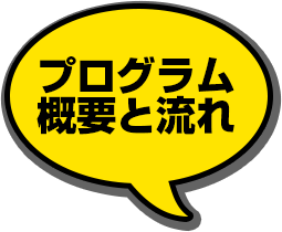 プログラムの概要と流れ